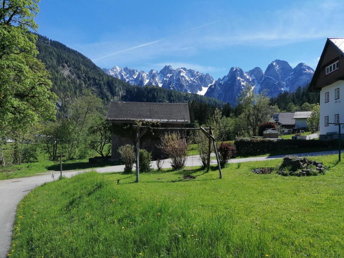 Ferienhaus Asserbach Gosau Exterior foto
