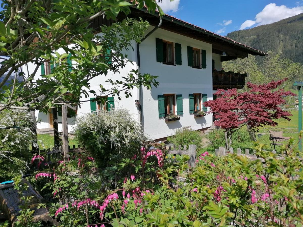 Ferienhaus Asserbach Gosau Exterior foto