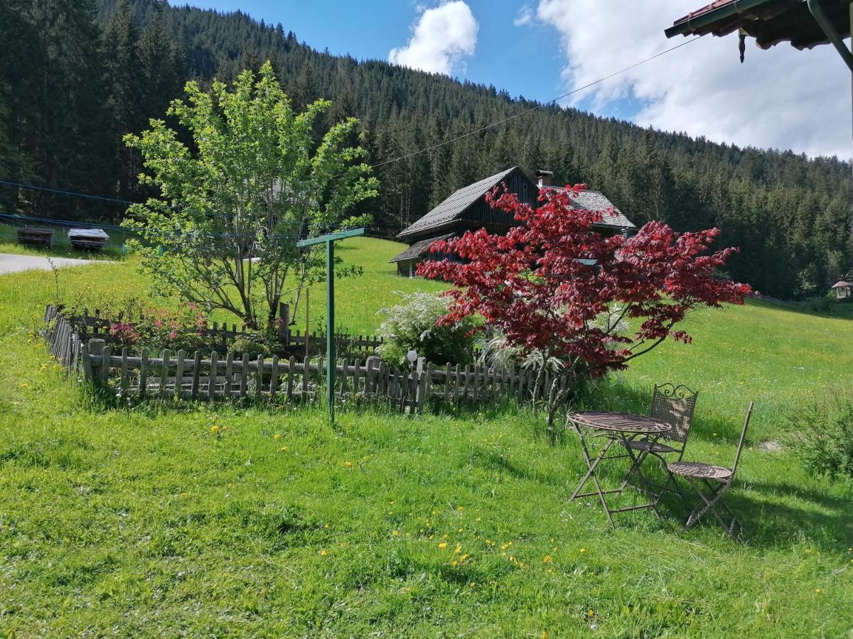 Ferienhaus Asserbach Gosau Exterior foto