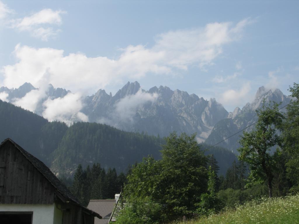 Ferienhaus Asserbach Gosau Exterior foto